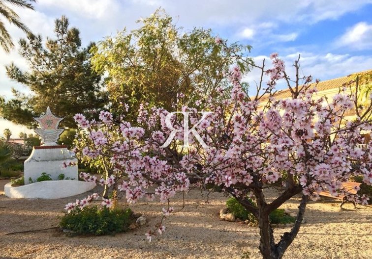 New Build - villa - Los Urrutias - Estrella De Mar