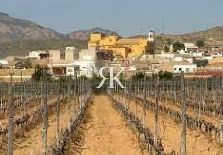 Neubau - Bungalow - Hondón de las Nieves - El Salero