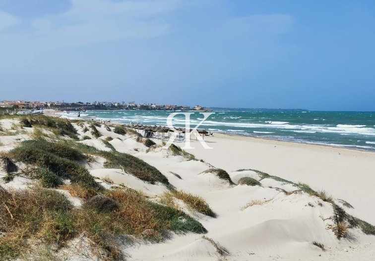 Obra Nueva - villa - Pilar de la Horadada