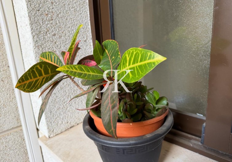 Revente - Appartement - Orihuela Costa - Las Ramblas