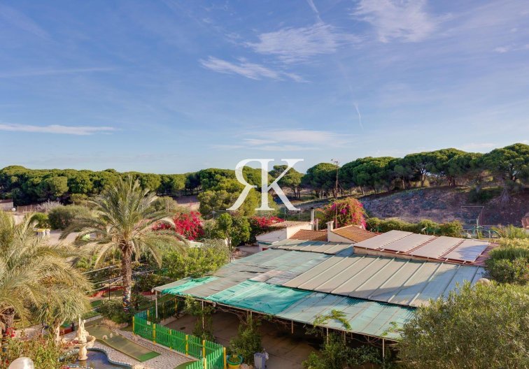 Revente - Appartement - Guardamar del Segura - Pinomar