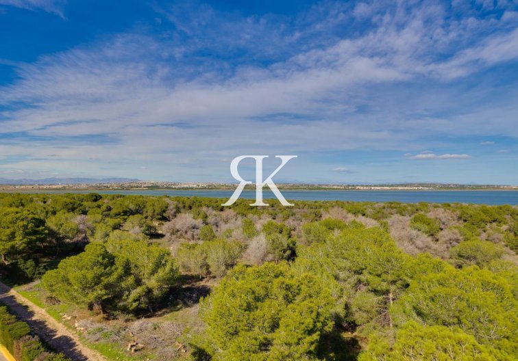 Herverkoop - Appartement - Torrevieja - La Siesta - El Salado - Torreta