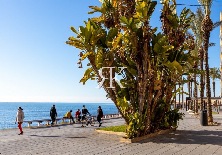 Herverkoop - Appartement - Torrevieja - Costa Blanca