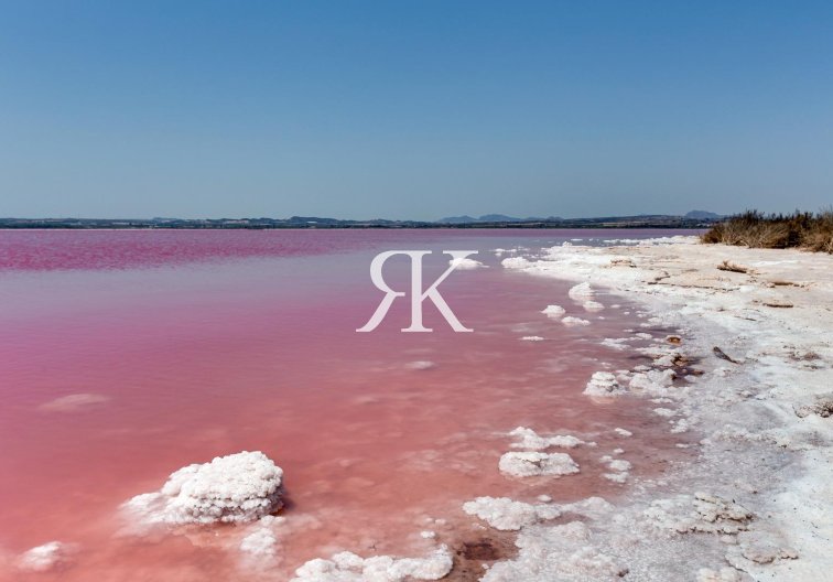 Revente - town house - Torrevieja - Paraje Natural