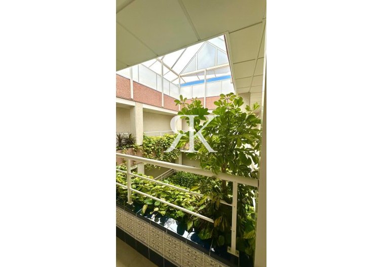 Wiederverkauf - Penthaus - Torrevieja - Centro