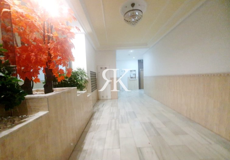 Wiederverkauf - Penthaus - Torrevieja - Costa Blanca