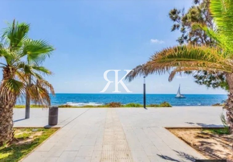 Wiederverkauf - Penthaus - Torrevieja - Costa Blanca