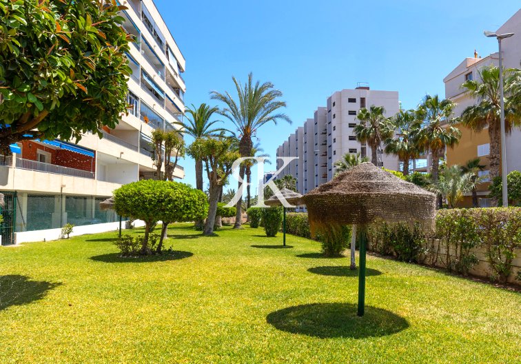 Herverkoop - Appartement - Torrevieja - Costa Blanca