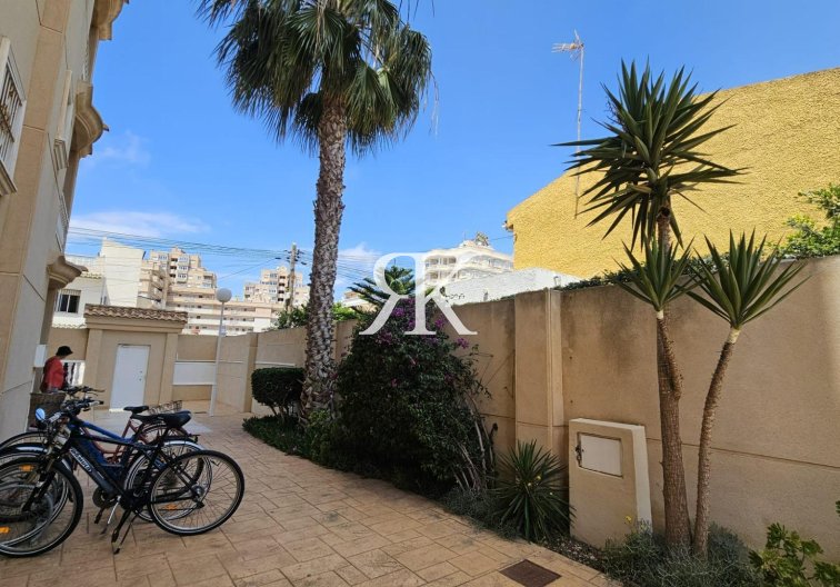 Revente - Appartement - Torrevieja - Nueva Torrevieja