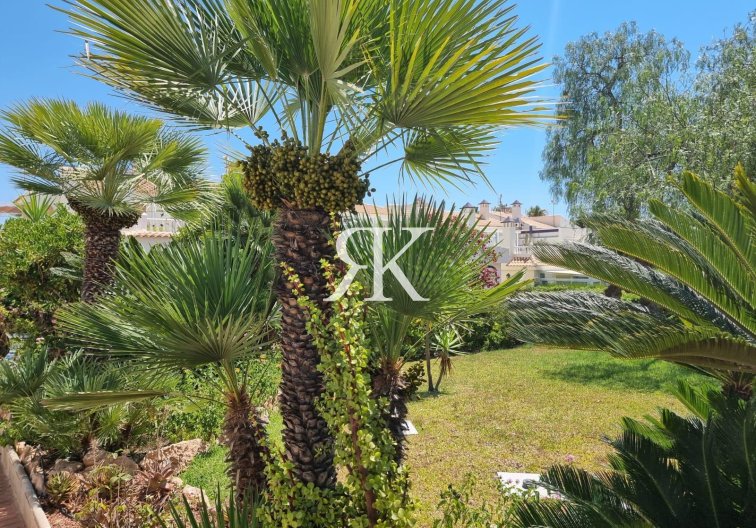 Revente - Appartement - Torrevieja - Los Balcones - Los Altos Del Edén