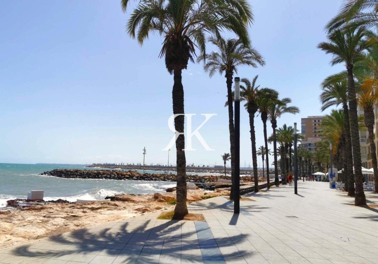 Revente - Appartement - Torrevieja - Paseo Maritimo