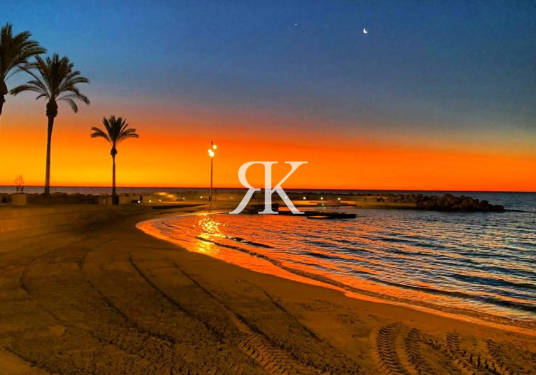 Revente - Appartement - Torrevieja - Paseo Maritimo