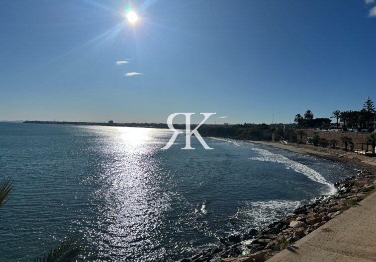 Wiederverkauf - Wohnung - Punta Prima - Costa Blanca