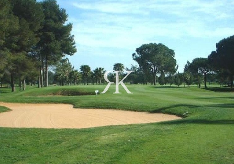 Wiederverkauf - Wohnung - Punta Prima - Costa Blanca