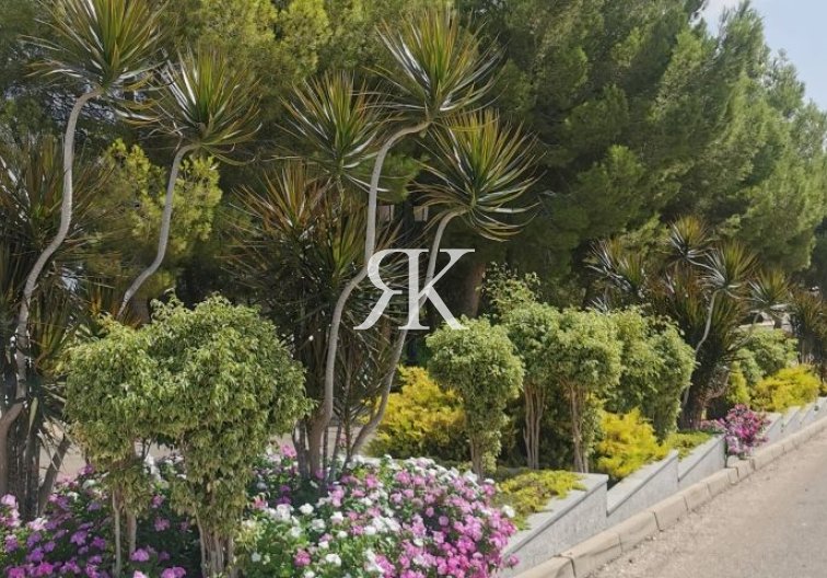 Segunda mano - Apartamento  - Orihuela Costa - Costa Blanca