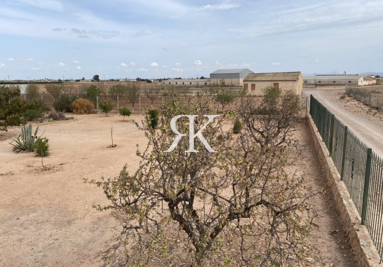 Revente - town house - Fuente Álamo - Inland