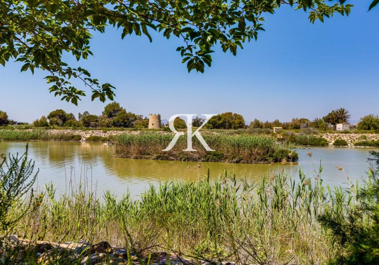 Segunda mano - villa - San Fulgencio - La Marina