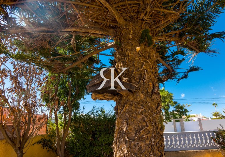 Herverkoop - villa - La Siesta - Costa Blanca