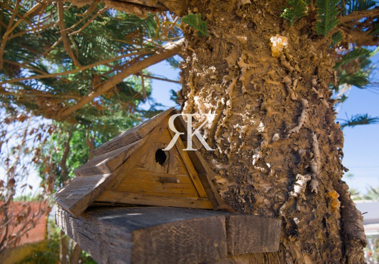 Herverkoop - villa - La Siesta - Costa Blanca