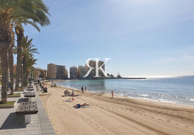 Revente - Appartement - Torrevieja - Estacion De Autobuses