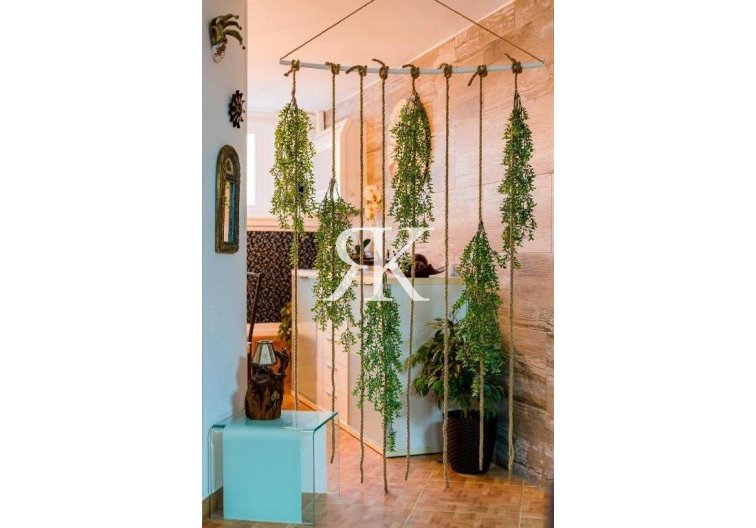 Revente - Duplex - Torrevieja - Acequion