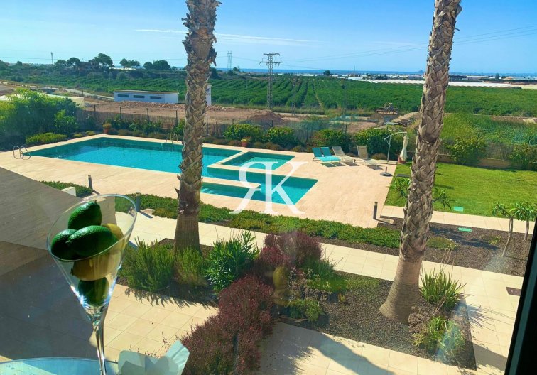 Wiederverkauf - Penthaus - Pilar de la Horadada - Costa Blanca