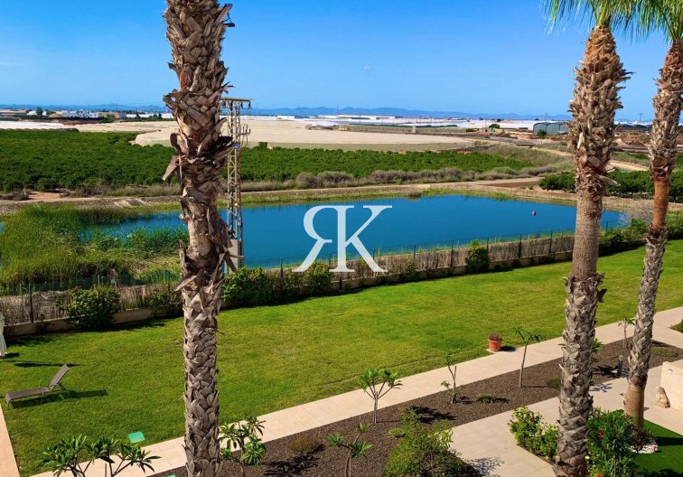 Wiederverkauf - Penthaus - Pilar de la Horadada - Costa Blanca