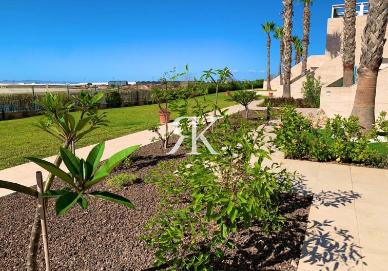 Wiederverkauf - Penthaus - Pilar de la Horadada - Costa Blanca