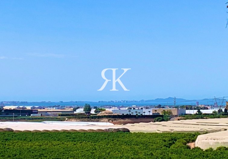 Wiederverkauf - Penthaus - Pilar de la Horadada - Costa Blanca