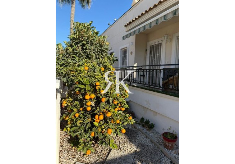 Revente - Semi Detached - Orihuela Costa - Playa Flamenca