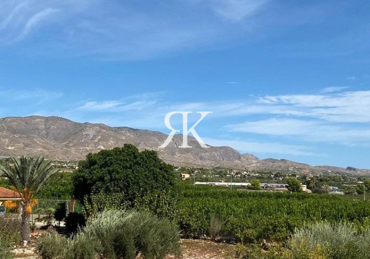 Revente - villa - Albatera - Campo De Albatera