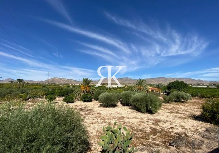 Revente - villa - Albatera - Campo De Albatera