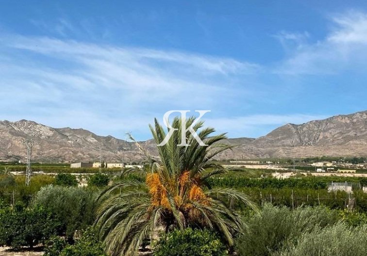 Revente - villa - Albatera - Campo De Albatera