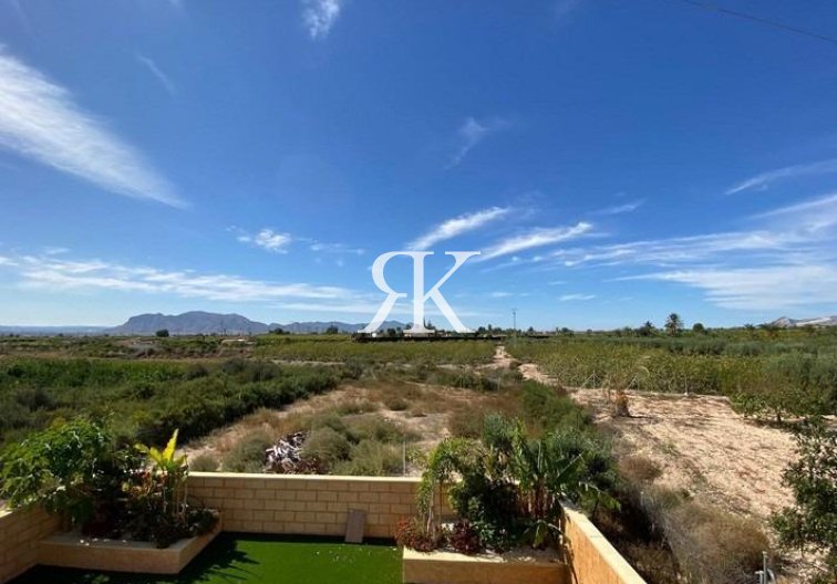 Revente - villa - Albatera - Campo De Albatera