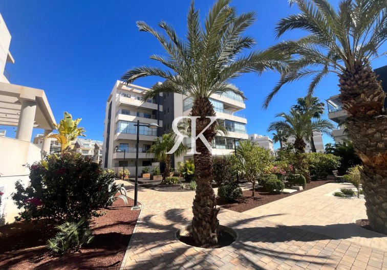 Revente - Appartement - Los Dolses - Inland