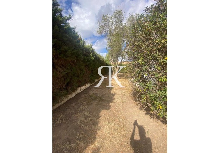 Revente - villa - Los Balcones - Costa Blanca