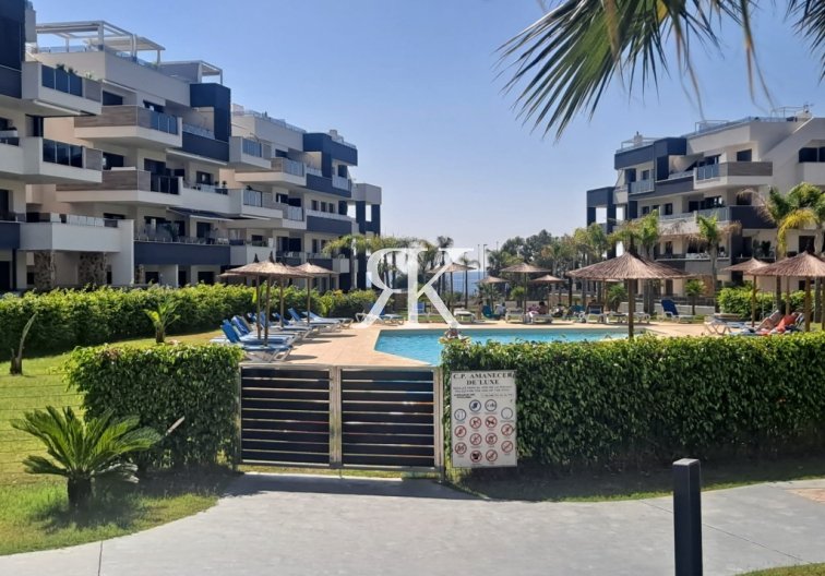 Wiederverkauf - Wohnung - Playa Flamenca - Costa Blanca