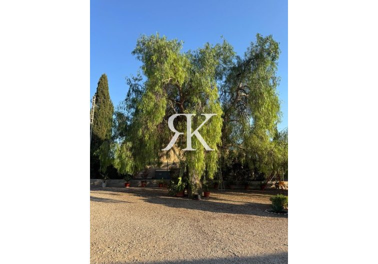 Revente - villa - Albatera - Partida Lomas