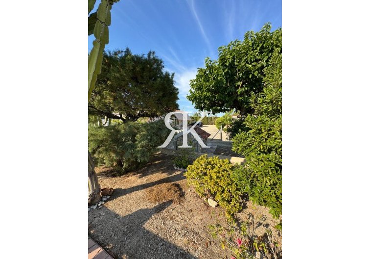 Revente - villa - Albatera - Partida Lomas