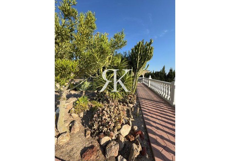 Revente - villa - Albatera - Partida Lomas