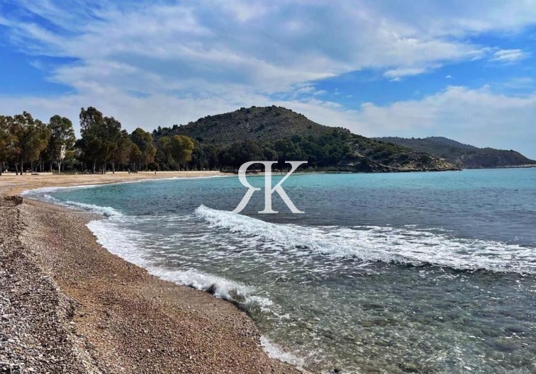 Neubau - Ground floor apartment - Villajoyosa - Playa del Torres