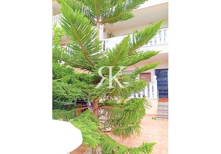 Revente - Bungalow - Orihuela Costa - Lomas De Cabo Roig-los Dolses