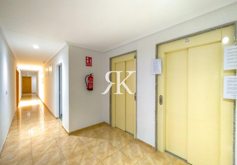 Revente - Appartement - Torrevieja - Acequion