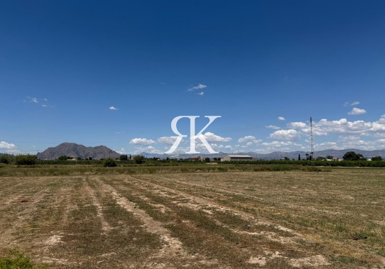 Segunda mano - Apartamento  - Almoradí - Inland