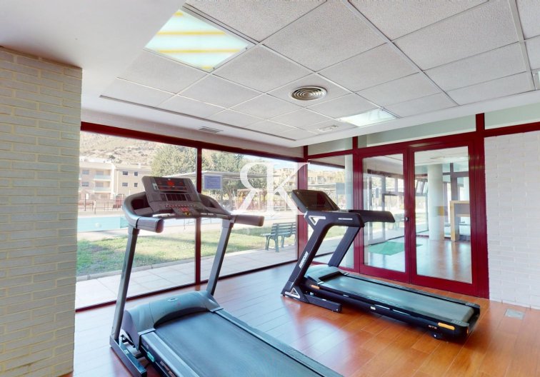 Neubau - Penthaus - Archena - Villanueva del Rio Segura