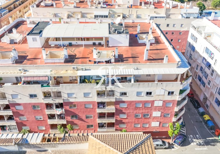 Segunda mano - Apartamento  - Torrevieja - Costa Blanca