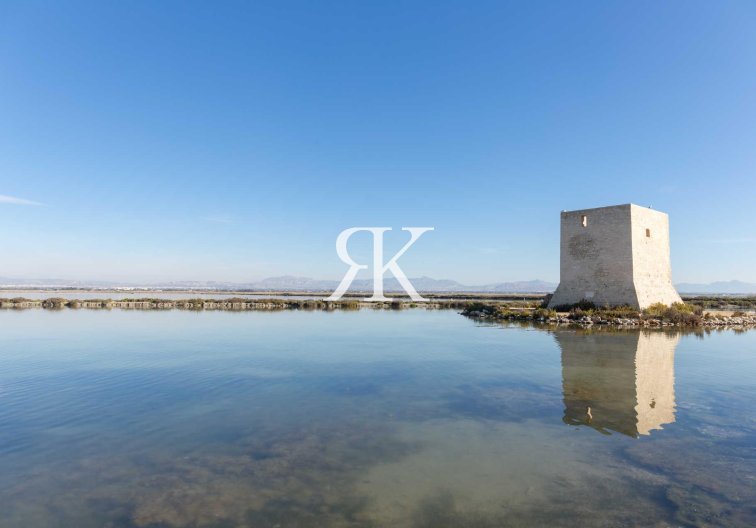 Obra Nueva - Atico - Santa Pola - Estacion de autobuses