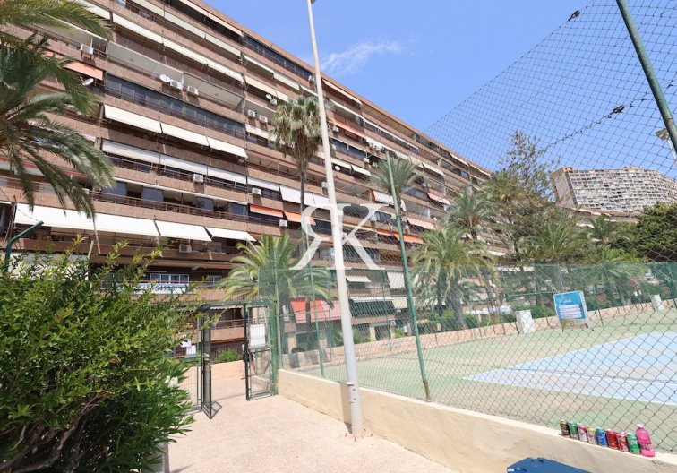 Construida bajo pedido - Apartamento  - Alicante - Albufereta