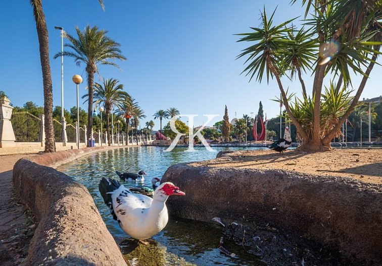 Segunda mano - Apartamento  - Torrevieja - Parque De Las Naciones