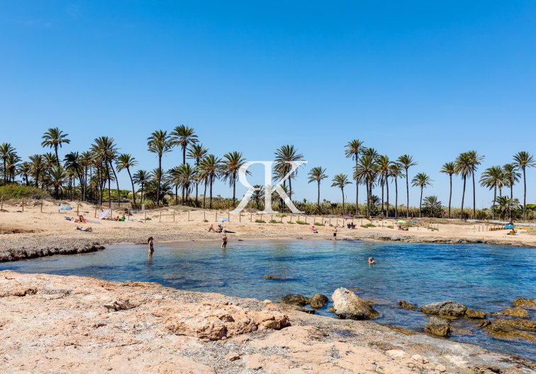 Wiederverkauf - Penthaus - Torrevieja - Playa de los Naúfragos